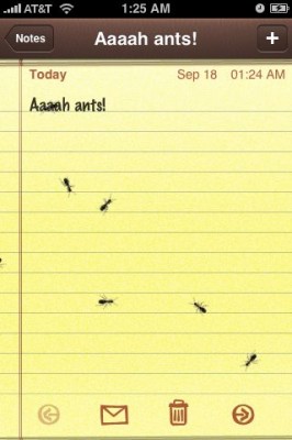 ants1