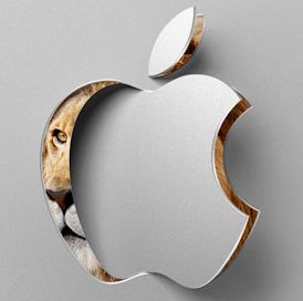 apples plans1