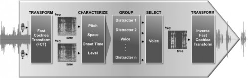 audiencechip.1