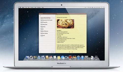 mountainlion-1