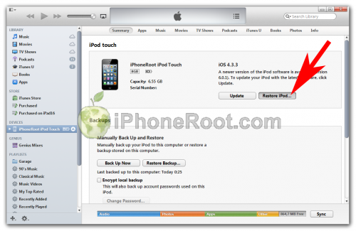 for ipod download SRWare Iron 113.0.5750.0